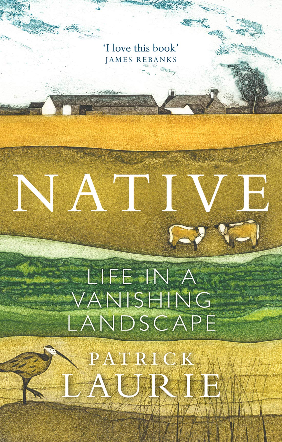Book cover of Native: Life in a Vanishing Landscape by Patrick Laurie
