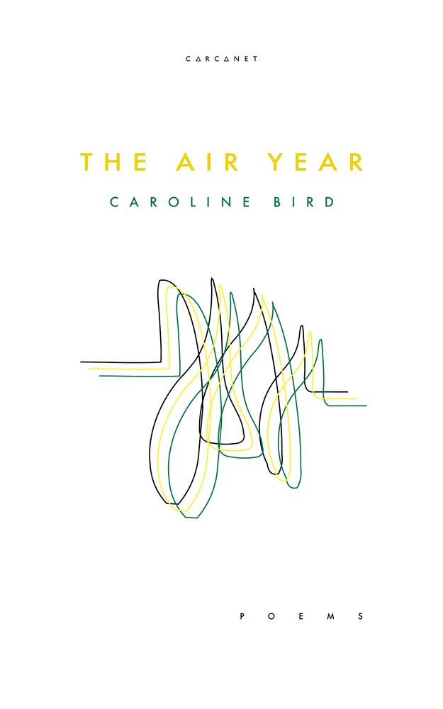 Book cover of The Air Year by Caroline Bird