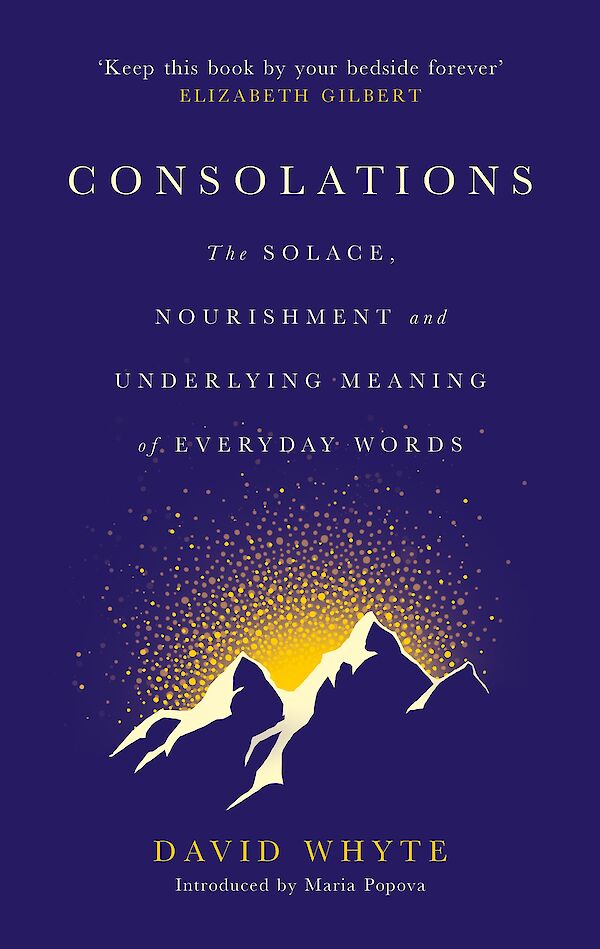 Book cover of Consolations: The Solace, Nourishment and Underlying Meaning of Everyday Words by David Whyte