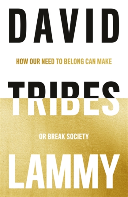Book cover of Tribes : How Our Need to Belong Can Make or Break Society by David Lammy
