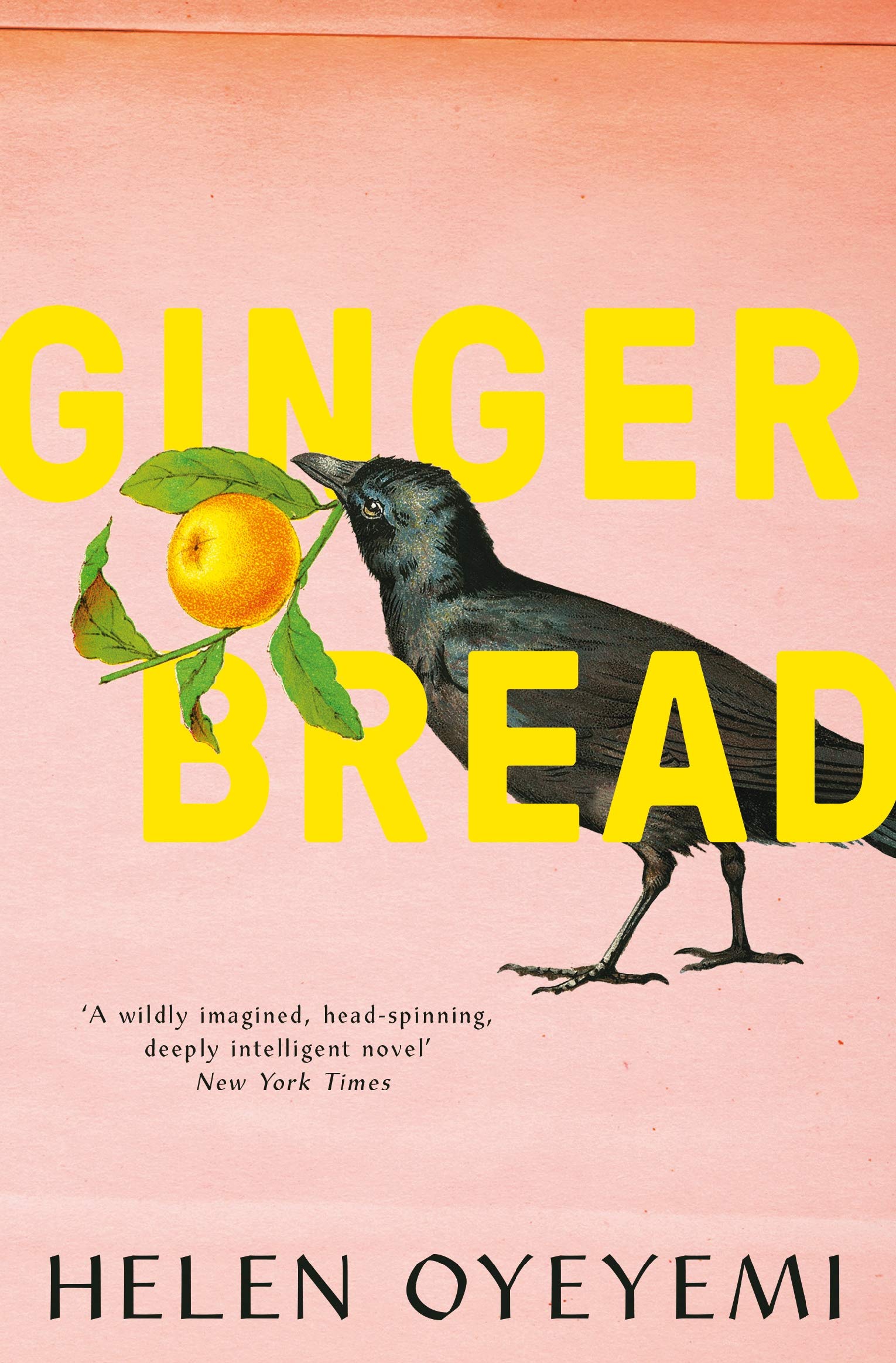 Book cover of Gingerbread by Helen Oyeyemi