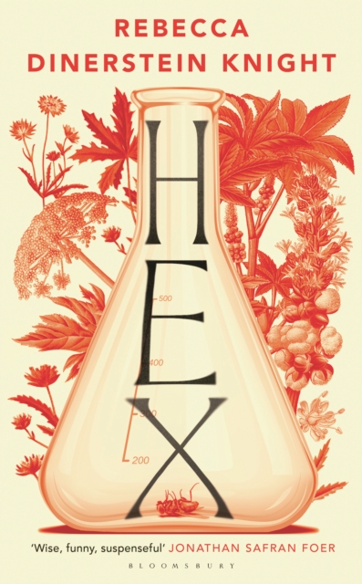 Book cover of Hex by Rebecca Dinerstein Knight 