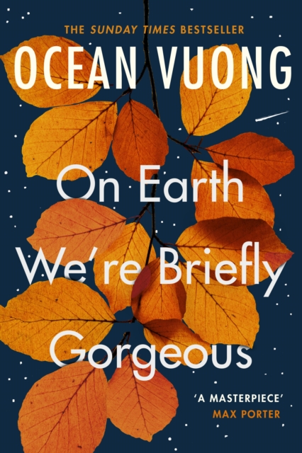 Book cover of On Earth We’re Briefly Gorgeous by Ocean Vuong