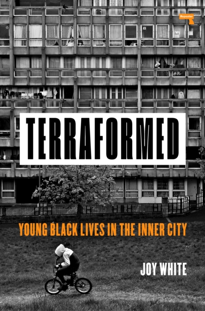 Book cover of Terraformed : Young Black Lives in the Inner City by Joy White